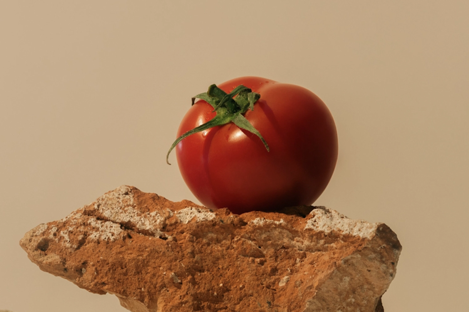 tomato on a rock